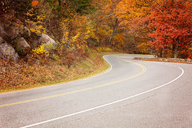 Foliage Ride Locations in Northern Virginia