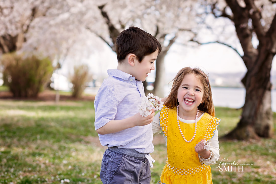 Los Angeles Family Photographer in Washington DC with the Cherry Blossoms