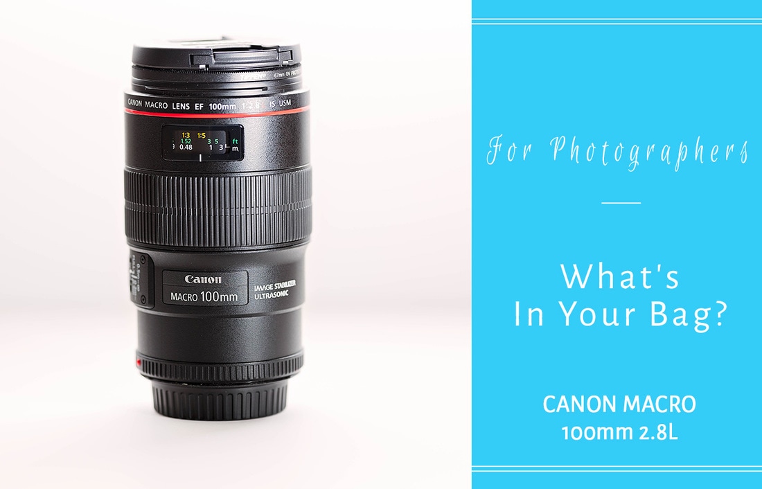 Canon Macro 100mm 2.8L, What's in your bag, nova family photographer, northern virginia family photographer, northern virginia photographer, woodbridge photographer, woodbridge family photographer, virginia photographer, virginia family photographer, canon lens