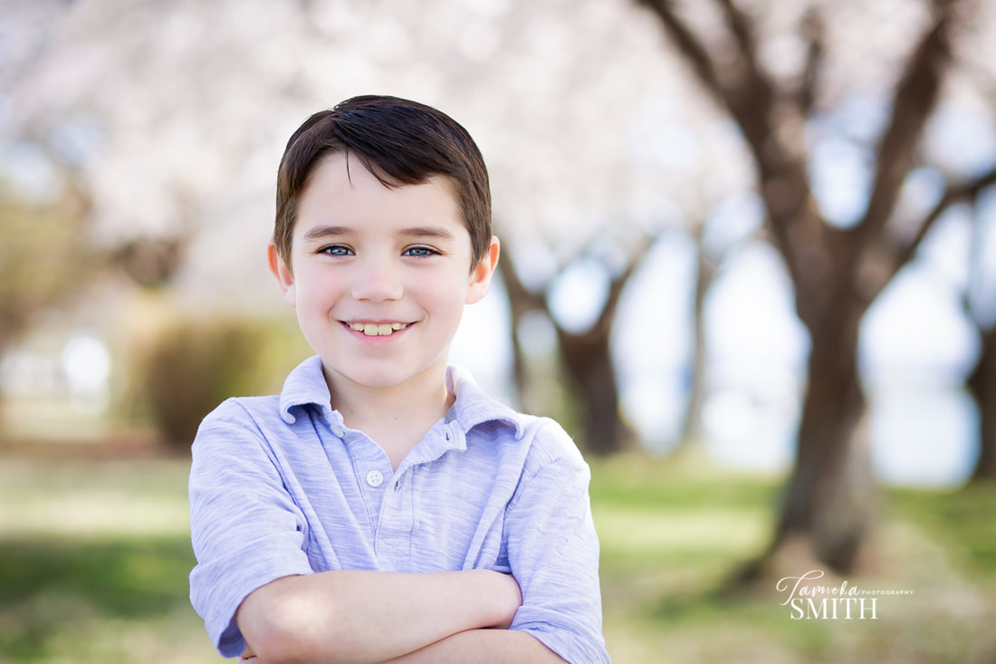 Spring Picture of 7 year of boy Posing in Washington DC