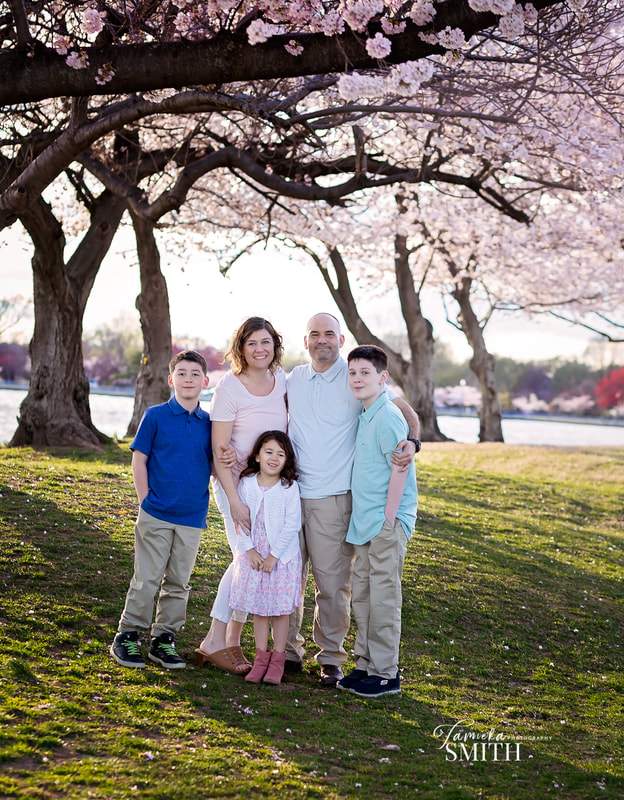 Family Pictures with the Cherry Blossom in Washington DC 