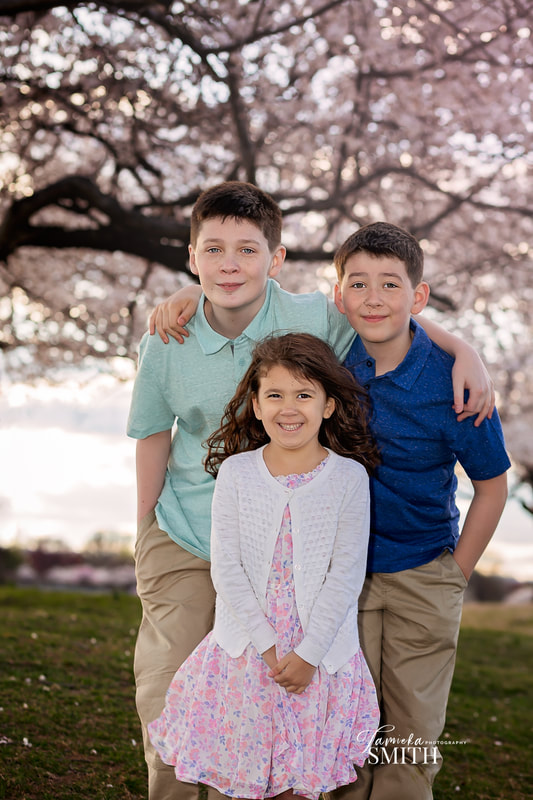 Cherry Blossom Photography in DC with Northern Virginia Family Photographer
