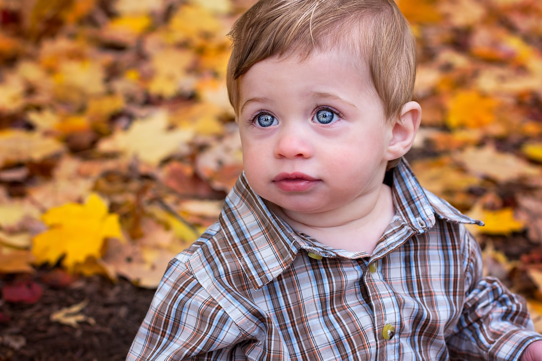 Places to take family pictures in the fall in Northern Virginia