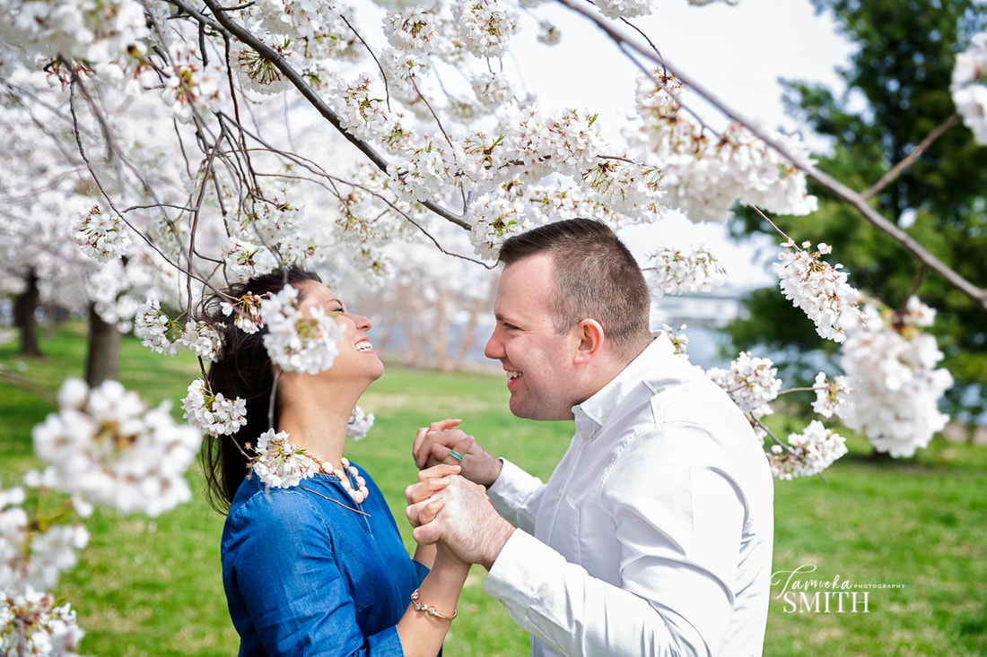 Couple taking Cherry Blossoms pictures in Washington D.C.